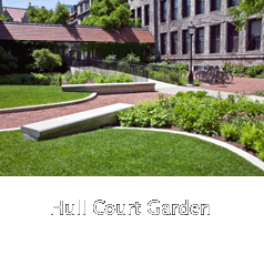 University of Chicago - Hull Court